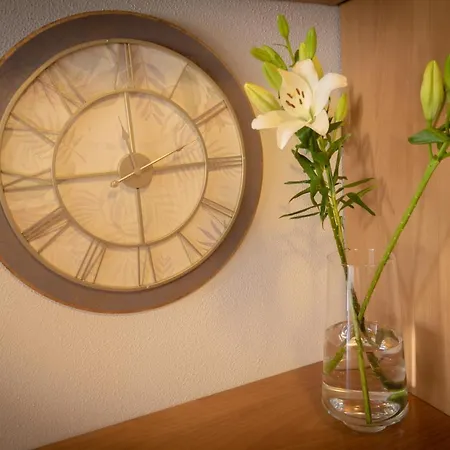 Fantástico De 1 Habitación En El Pris