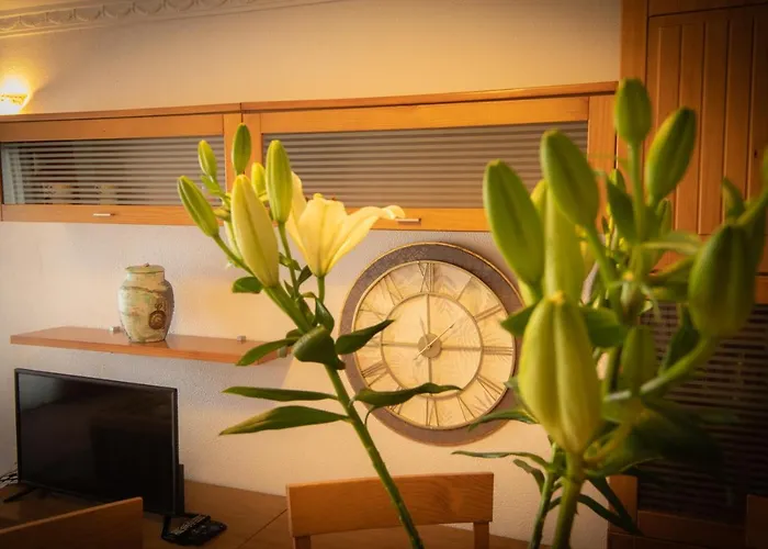 Fantástico De 1 Habitación En El Pris