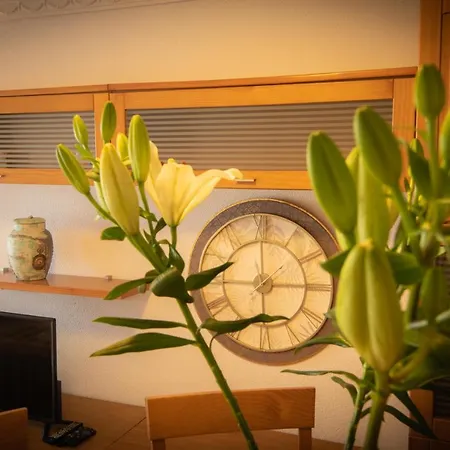 Fantastico De 1 En El Pris